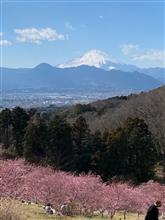 おおいゆめの里