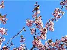 春ちかし 春ちかし