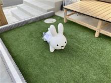 洗って　出かけて　うさぎ