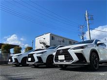 LEXUS 新型NX テレビナビキャンセラー ご予約開始 レクサス LEXUS 新型NX テレビナビキャンセラー ご予約開始 レクサス