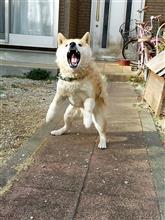 食いしん坊なんです。
