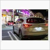 プラチナクォーツメタリック最高