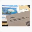 Amazon 2回も間違えたよ
