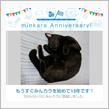 祝・みんカラ歴13年！
