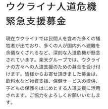 人道危機緊急支援募金❗️