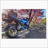 今年は遅咲きな早咲き桜（河津 ...