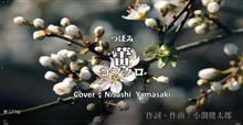 「蕾（つぼみ）」コブクロ　バラードの名曲　歌ってみた