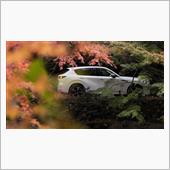 CX-60に変なエントリーモ ...