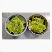 春キャベツ美味しい♪   # ...