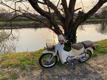 小さなカブ主から超カブ主に