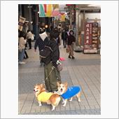 愛媛旅行、寄り道尾道。