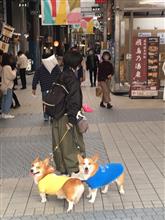 愛媛旅行、寄り道尾道。