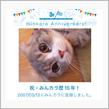祝・みんカラ歴15年！早いもんです（笑）