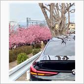 ドライブ＆ウォーキング（🌸 ...