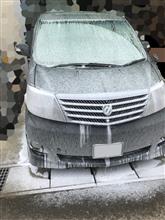 これは楽しいわ