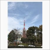 芝公園　寒緋桜