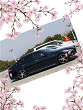 春が待ち遠しい🌸