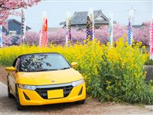 SAKURA 2022 第1夜【早春三河湾】