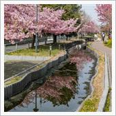 江川せせらぎ遊歩道