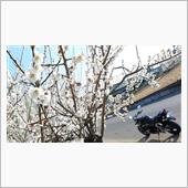フリマサイトからバイク談議