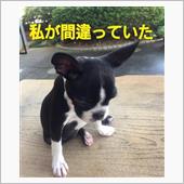 また訂正です(_&quot;_)
