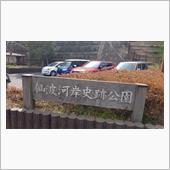 川越で河津桜
