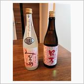 春の酒🍶🌸