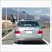 犬　ｏｎ　Ｃａｒ