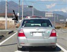 犬　ｏｎ　Ｃａｒ