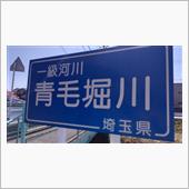 鷲宮で河津桜