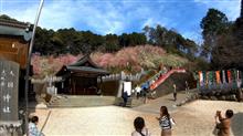 大縣神社梅園へ・・・今日は夏かて ι(&#180;Д｀υ) 