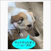 らんまる・・・本領発揮？　( ...