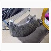 病院行ってみたけど、、