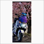 マジェスティS 試作アイライ ...