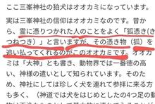 オオカミの番組録画…悪霊に取り憑かれた人を…