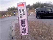 春見っけ