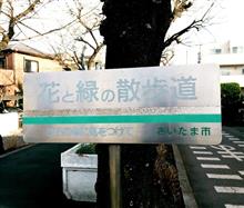 通勤途中の桜♪
