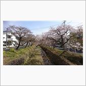 それじゃあ～～ちょっと早いの ...