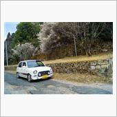 河津桜のお花見第2弾。