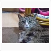今週も無事に仕事終わりました。