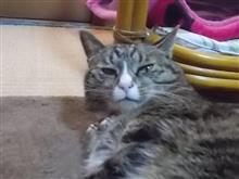 今週も無事に仕事終わりました。