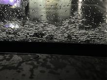 雪？