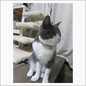 ないよ～ないけどあるよ～(^ ...