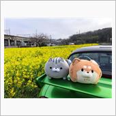 菜の花畑から都筑PAへルーテ ...