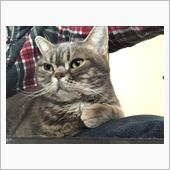 食事と排泄、この二つが飼い主 ...