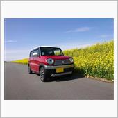 菜の花ロード今年もイイ感じ