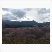 いなべ市梅林公園