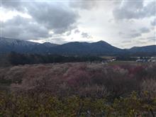 いなべ市梅林公園 いなべ市梅林公園