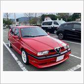 久しぶりのアルファちゃん🚗
