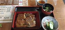 今日のランチ